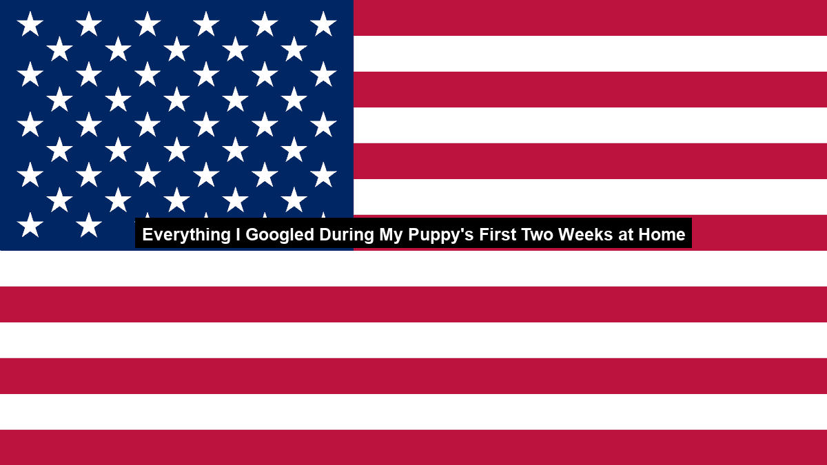 Everything I Googled During My Puppy’s First Two Weeks at Home